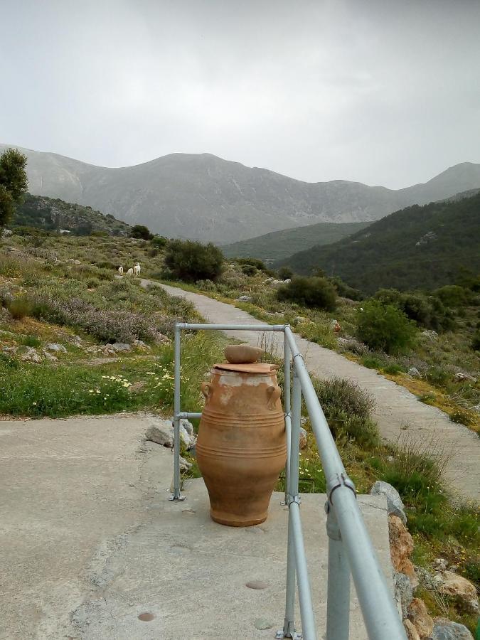 Vila Casablu Stavrokhorion Exteriér fotografie